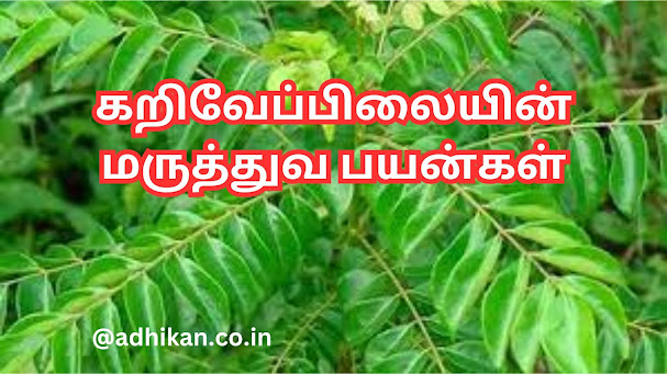 கறிவேப்பிலையின் மருத்துவ பயன்கள்