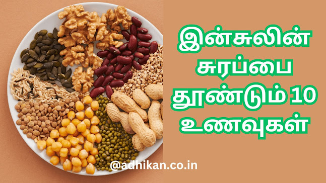 இன்சுலின் சுரப்பை தூண்டும் 10 உணவுகள்