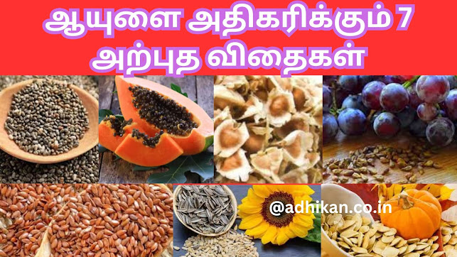 ஆயுளை அதிகரிக்கும் 7 அற்புத விதைகள்.