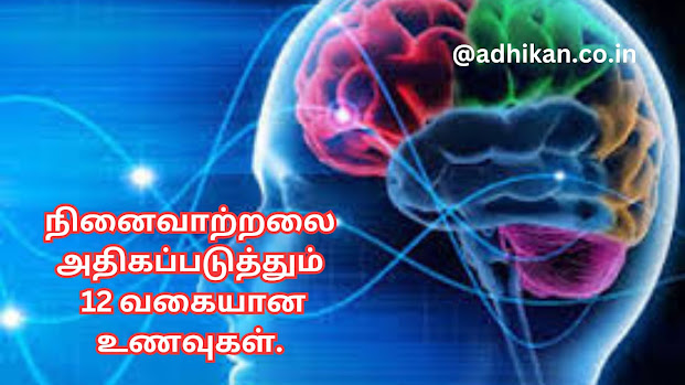 நினைவாற்றலை அதிகப்படுத்தும் 12 வகையான உணவுகள்