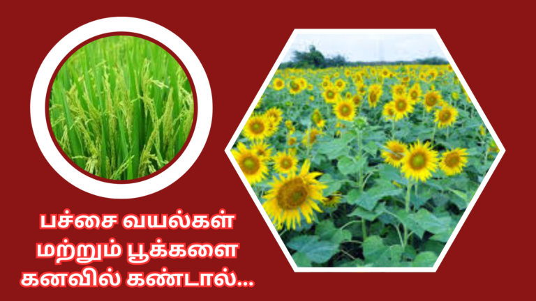 பச்சை வயல்கள் மற்றும் பூக்களை கனவில் கண்டால்